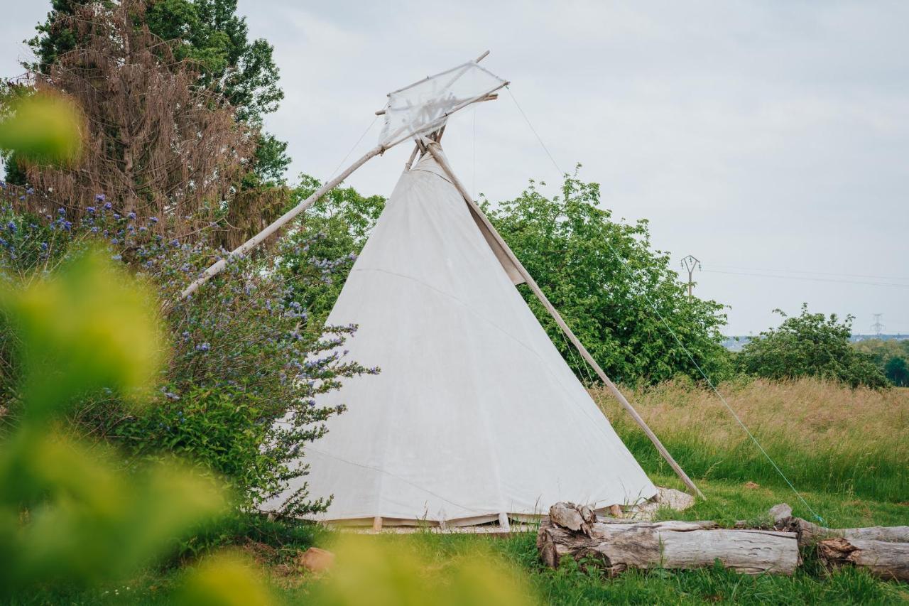 Tipi / Nature / Detente Bragny-sur-Saone
