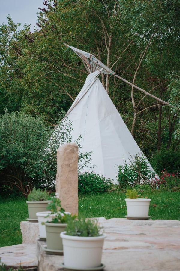 Tipi / Nature / Detente *
