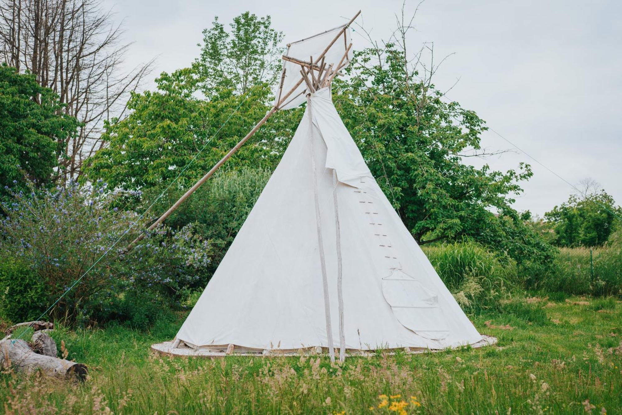 Tipi / Nature / Detente